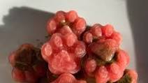 Frozen Watermelon Dog Treats Frozen Watermelon Dog Treats