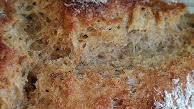 Dutch Oven Caraway Rye Bread Dutch Oven Caraway Rye Bread