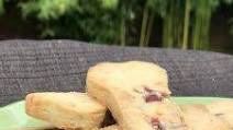 Cranberry Coconut Shortbread Treats for Dogs Cranberry Coconut Shortbread Treats for Dogs