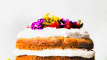 Grain Free Birthday Cake for Dogs Grain Free Birthday Cake for Dogs