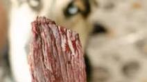 Beef Jerky for Dogs Beef Jerky for Dogs