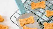 Homemade Pumpkin and Brown Rice Flour Dog Treats Homemade Pumpkin and Brown Rice Flour Dog Treats