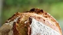 Beginner Sourdough Whole Wheat Artisan Bread Beginner Sourdough Whole Wheat Artisan Bread