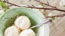 Classic Vanilla Ice Cream–The “Mother Eve” of Ice Cream Classic Vanilla Ice Cream–The “Mother Eve” of Ice Cream