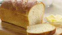 Basic White Bread Basic White Bread