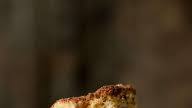 Cinnamon Coffee Cake Cinnamon Coffee Cake