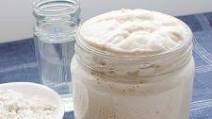 Gluten-Free Sourdough Starter Gluten-Free Sourdough Starter