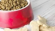 Homemade Grain Free Dog Treats Homemade Grain Free Dog Treats