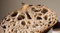 Fifty-Fifty Whole Wheat Sourdough Bread Fifty-Fifty Whole Wheat Sourdough Bread