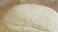 The Softest Einkorn Sandwich Bread The Softest Einkorn Sandwich Bread