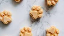 Peanut Butter Pumpkin Doggy Ice-Cream Peanut Butter Pumpkin Doggy Ice-Cream
