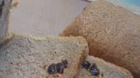 Cinnamon-Raisin Bread 2 Lb (Bread Machine) Cinnamon-Raisin Bread 2 Lb (Bread Machine)