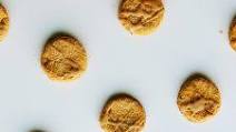 Gluten-Free Peanut Butter Dog Treats Recipe + Petcurean GO! Gluten-Free Peanut Butter Dog Treats Recipe + Petcurean GO!