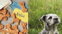 Good-dog Biscuits Good-dog Biscuits