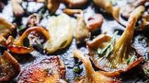 Pan Fried Oyster Mushrooms Pan Fried Oyster Mushrooms