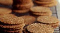 Gingersnaps Gingersnaps