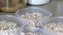 Easy Cooked Shredded Chicken Easy Cooked Shredded Chicken