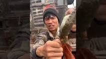 ASMR MUKBANG SEAFOOD, Giant Brown King Crab, spicy noodles,Chinese food mukbang eating show #489 ASMR MUKBANG SEAFOOD, Giant Brown King Crab, spicy noodles,Chinese food mukbang eating show #489