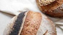 Simple Sorghum Sourdough Simple Sorghum Sourdough