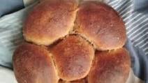 Honey Whole Wheat Challah Honey Whole Wheat Challah