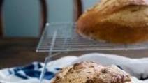 Multigrain Bread Multigrain Bread
