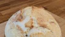 4 Ingredient Crusty Bread 4 Ingredient Crusty Bread