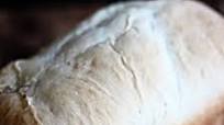 Favorite Bread Machine Sourdough Loaf Favorite Bread Machine Sourdough Loaf
