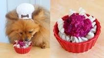 Pasta for Dogs Pasta for Dogs