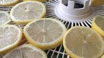 Dehydrated Lemon Slices Dehydrated Lemon Slices