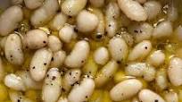 Rich & Creamy Beans From Rachel Roddy Rich & Creamy Beans From Rachel Roddy