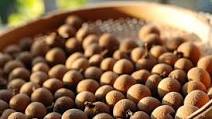 Homemade Dried Longan Homemade Dried Longan