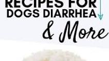 4 Best Recipes for Dogs Diarrhea 4 Best Recipes for Dogs Diarrhea