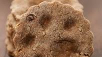 Paw Print Dog Treats Paw Print Dog Treats