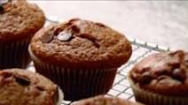 Chocolate Chocolate-Chip Muffins Chocolate Chocolate-Chip Muffins