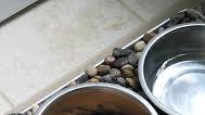 Homemade raw dog food Homemade raw dog food