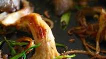 Oyster Mushroom Recipe Oyster Mushroom Recipe