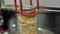 Pickled Oyster Mushrooms Recipe Pickled Oyster Mushrooms Recipe