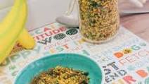 Veggie Oats Dog Food Topper for Kibble Veggie Oats Dog Food Topper for Kibble