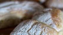 Ciabatta Ciabatta