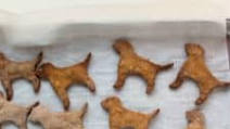 Homemade Dog Treats Homemade Dog Treats