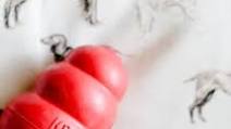 Meat & Fish Ideas for Your Dog's KONG Meat & Fish Ideas for Your Dog's KONG