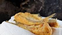 Southern Fried Catfish Recipe Southern Fried Catfish Recipe