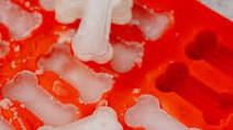 Bone Broth Frozen Dog Treats Bone Broth Frozen Dog Treats