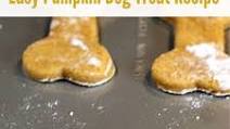Easy Pumpkin Dog Treat Recipe Easy Pumpkin Dog Treat Recipe