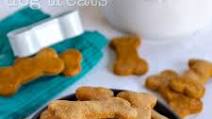Homemade Dog Treats Homemade Dog Treats