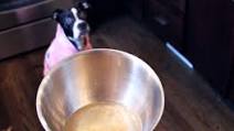 Turkey Neck Bone Broth for Dogs Turkey Neck Bone Broth for Dogs