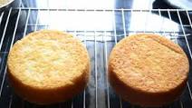 Eggless Vanilla Cake Recipe Eggless Vanilla Cake Recipe