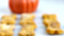 Oatmeal Pumpkin Dog Treat Recipe Oatmeal Pumpkin Dog Treat Recipe