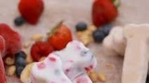 Yogurt and Berries Dog Treats Recipe Yogurt and Berries Dog Treats Recipe