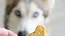 Carrot, Peanut Butter, and Oats Dog Treats Carrot, Peanut Butter, and Oats Dog Treats